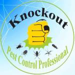 Fumigation services knockout pest control services Profile Picture