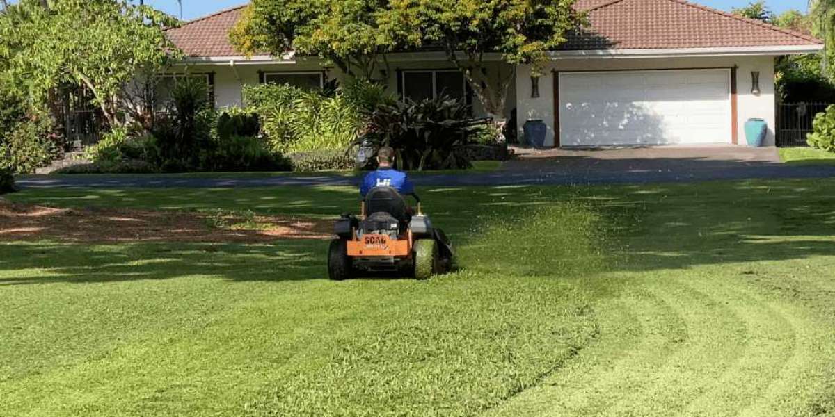 Lawn Service, Including Mowing, Makes Life Easier