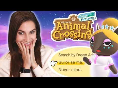 TOURING YOUR RANDOM DREAM ADDRESS ISLANDS | Animal Crossing New Horizons
