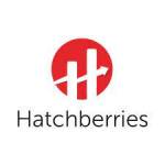 Hatchberries Technology profile picture