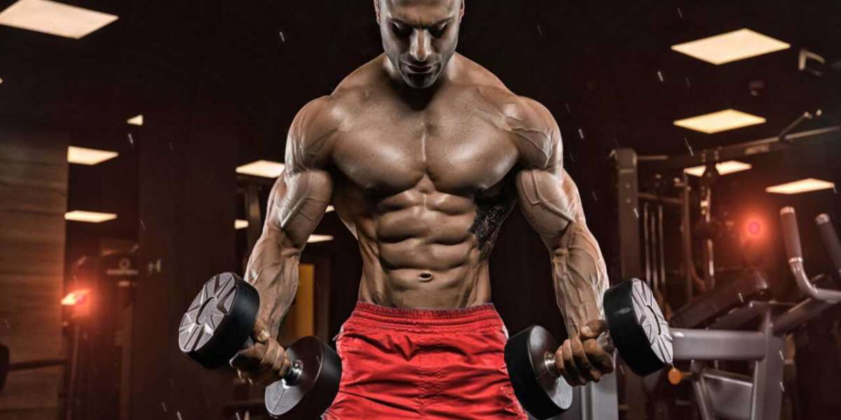 Learn The Most Vital Aspect About Steroids