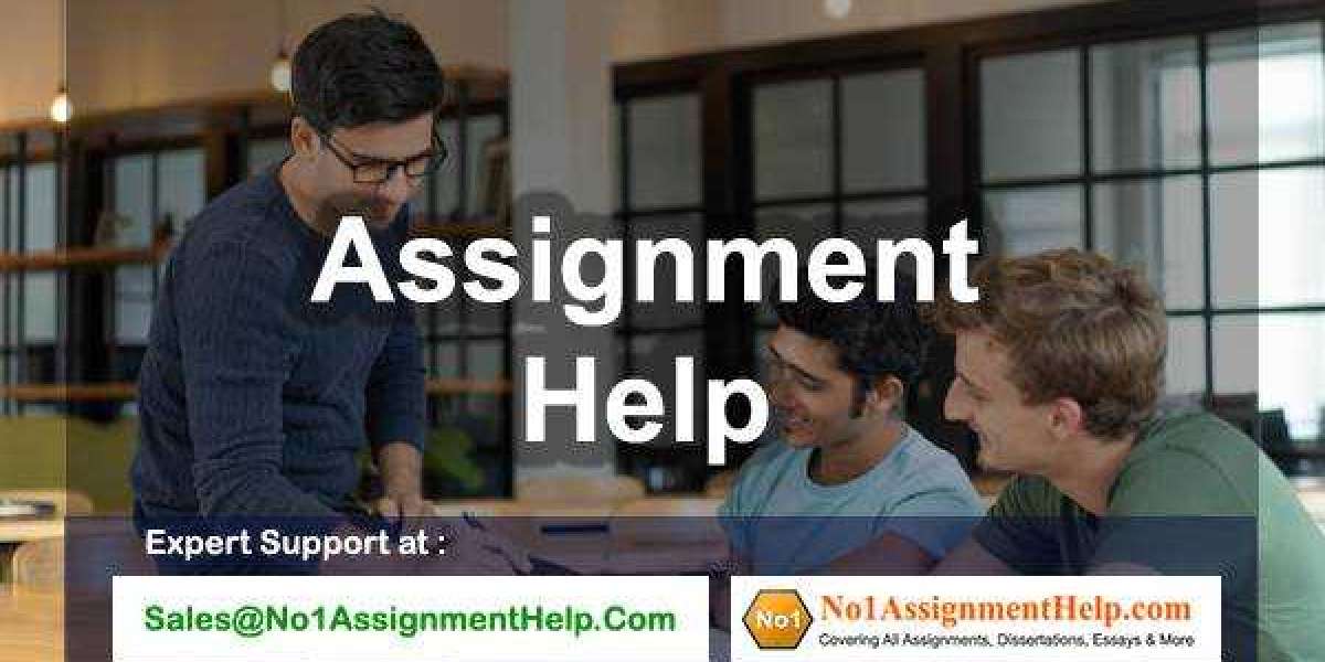 Get University Assignment Help By An Expert At No1Assignment Help.Com