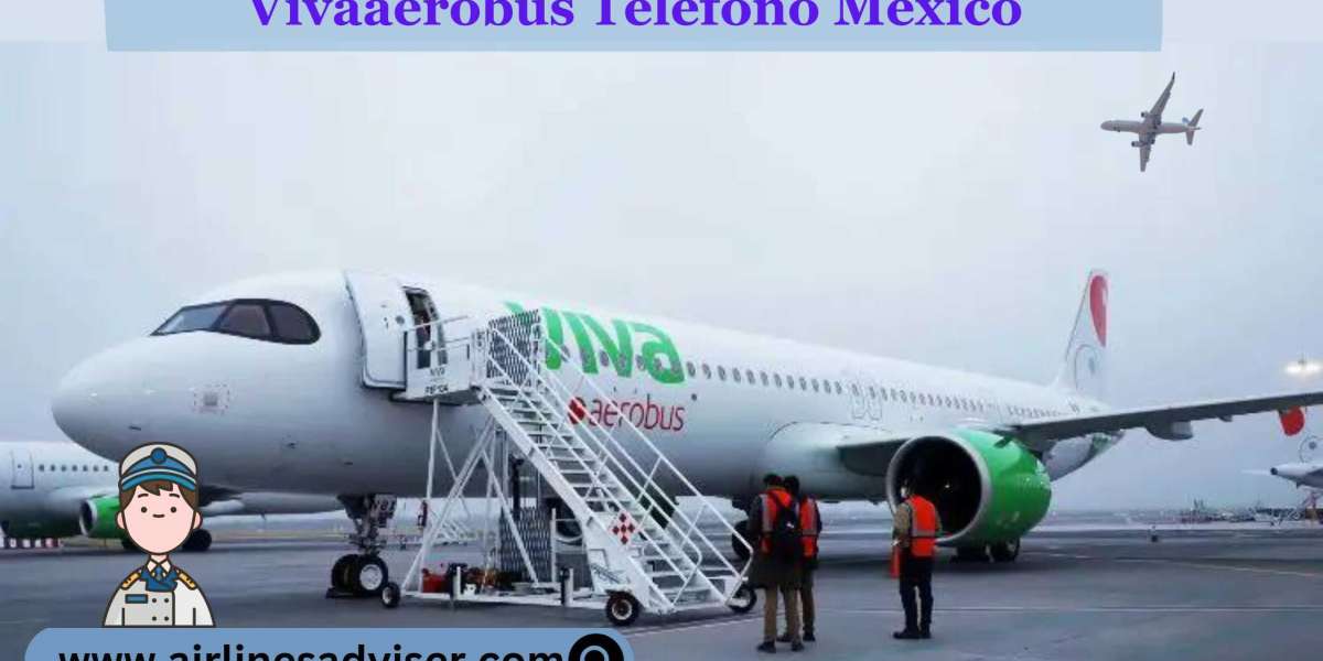 ¿Cómo Llamar A Vivaaerobus Desde México?