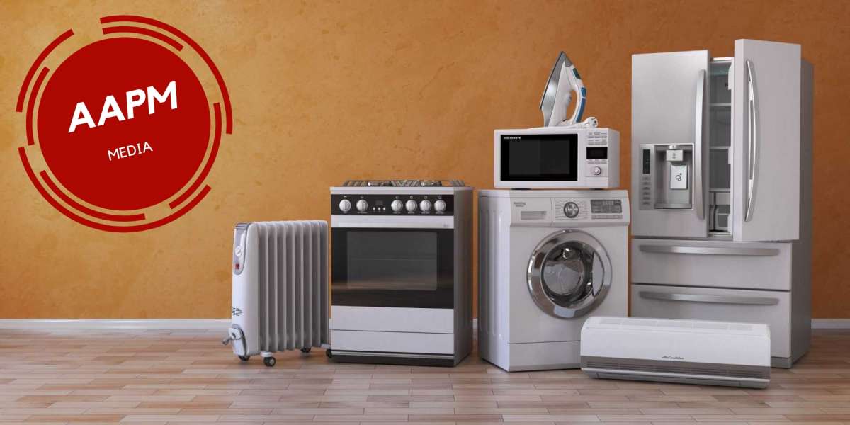 Powering Up the Home: The Electric Appliance Phenomenon