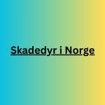 skadedyrinorge Profile Picture