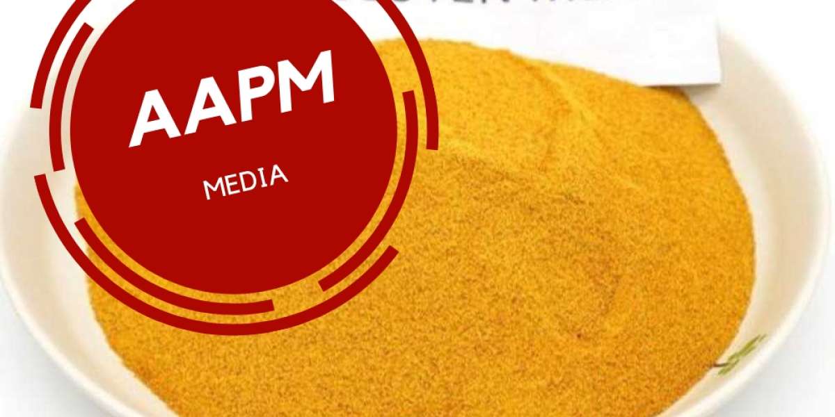Corn Gluten Meal Manufacturing Plant Project Report 2024: Manufacturing Process, Raw Materials, Cost and Revenue