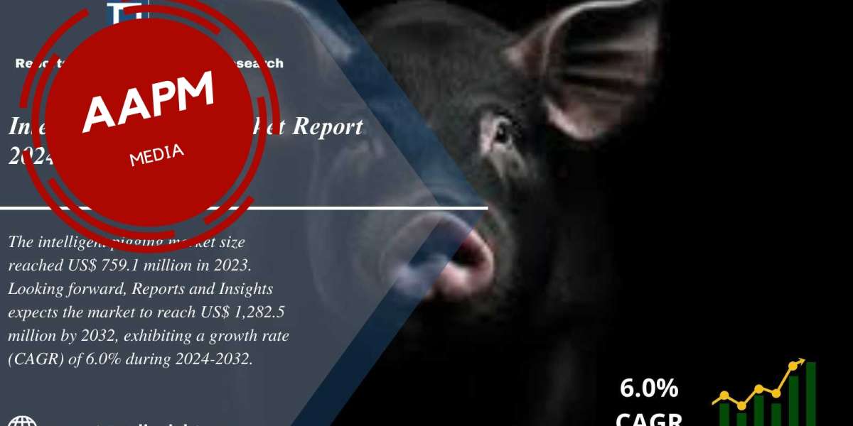 Intelligent Pigging Market Size and Share