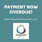Corporate Debt Recovery Limited Profile Picture