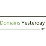 Domains Yesterday Profile Picture