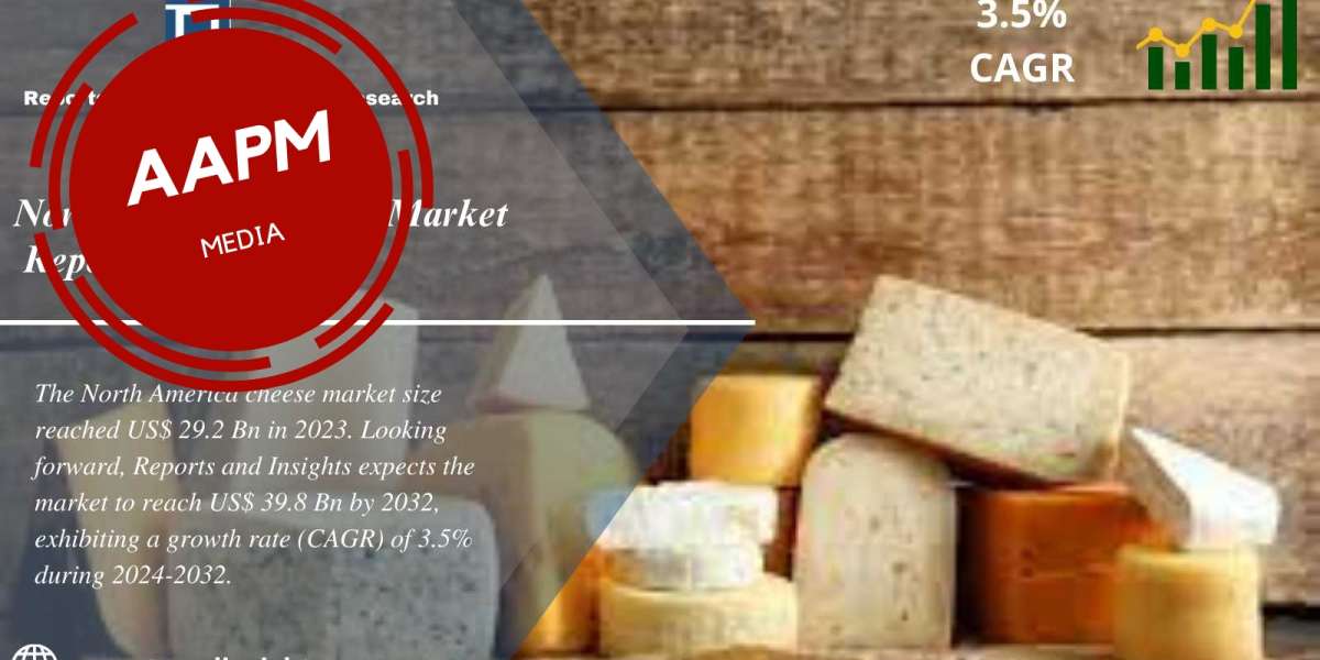 North America Cheese Market 2024 to 2032: Size Share, Growth, Trends and Opportunities